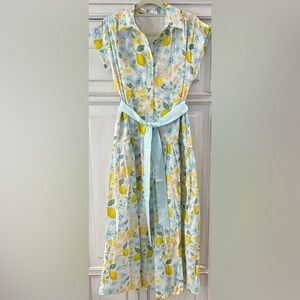 NEW never worn OVERSIZED SMALL Shop The Mint maxi dress lemon blue tie sash